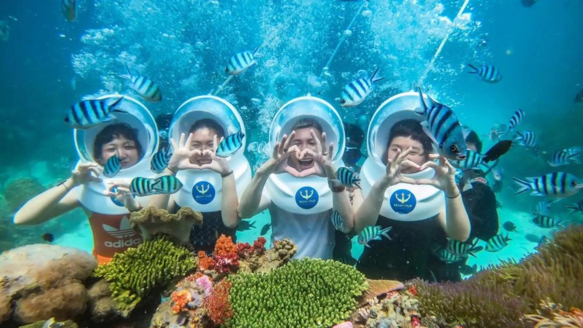 Du khách đi bộ dưới đáy biển ngắm san hô Phú Quốc