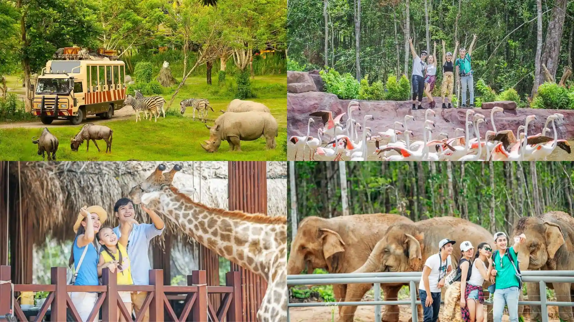 Trải nghiệm xe chuyên dụng ngắm thú tại Vinpearl Safari Phú Quốc