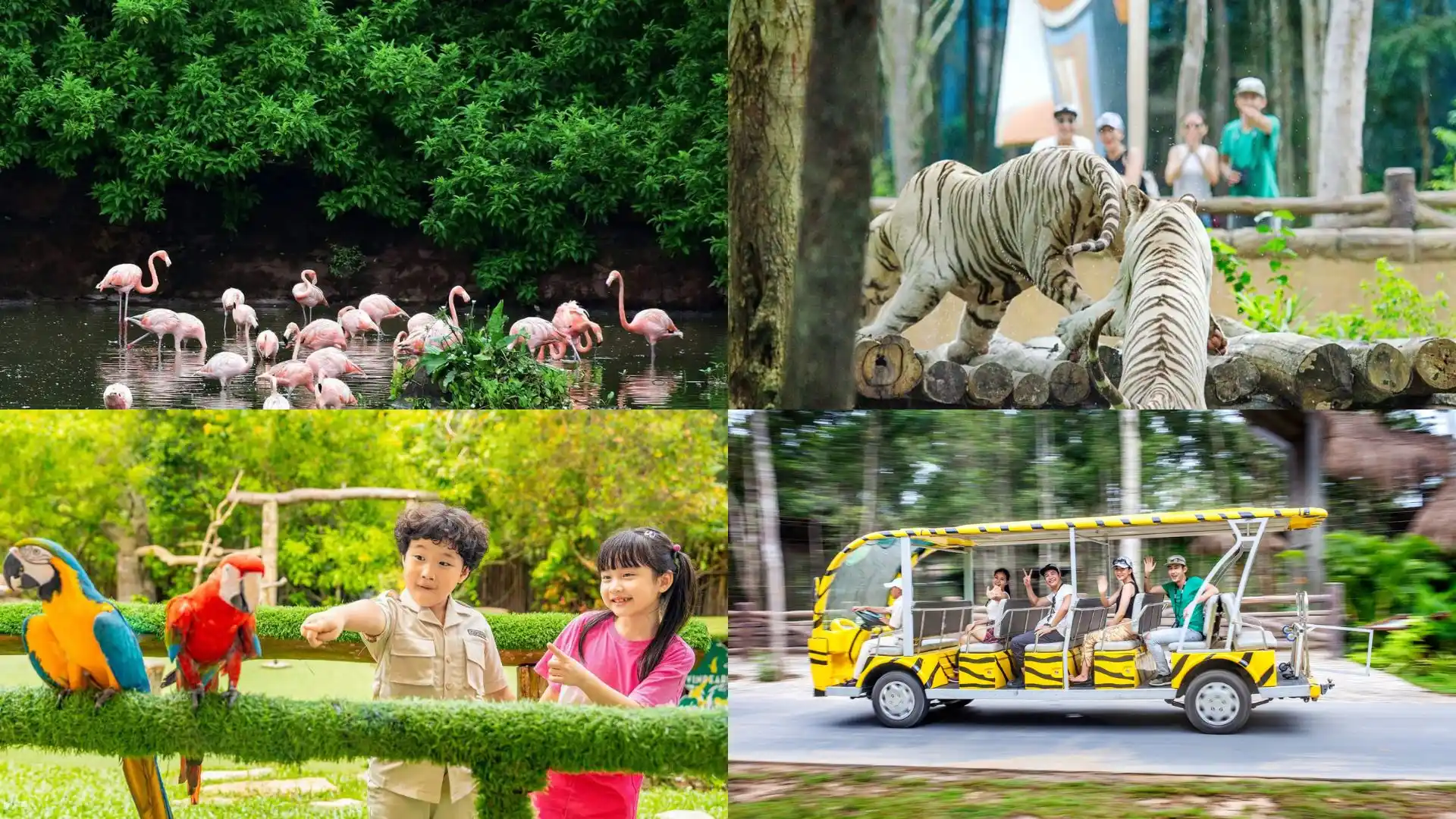 Trải nghiệm xe bus chuyên dụng ngắm động vật tại Vinpearl Safari Phú Quốc