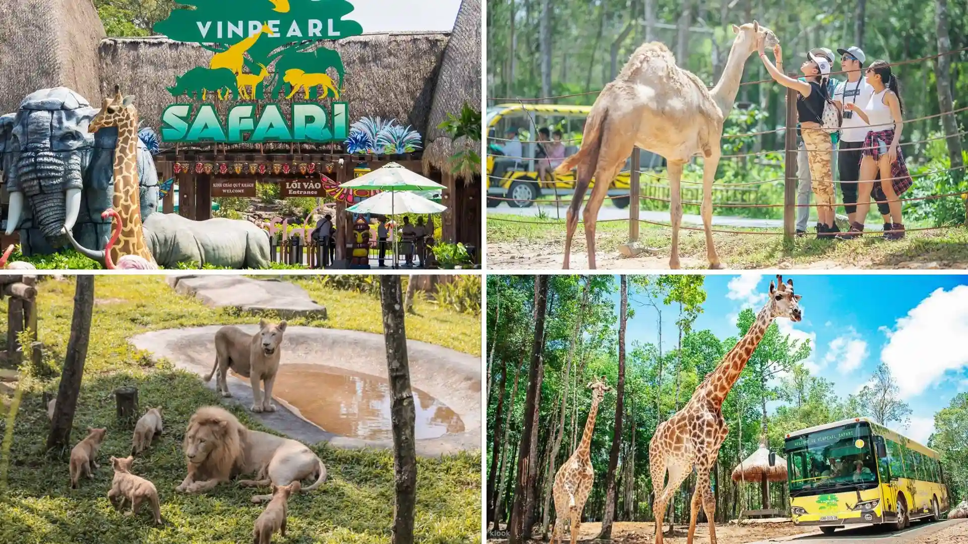 Tham quan các loài động vật hoang dã tại công viên bảo tồn Vinpearl Safari Phú Quốc