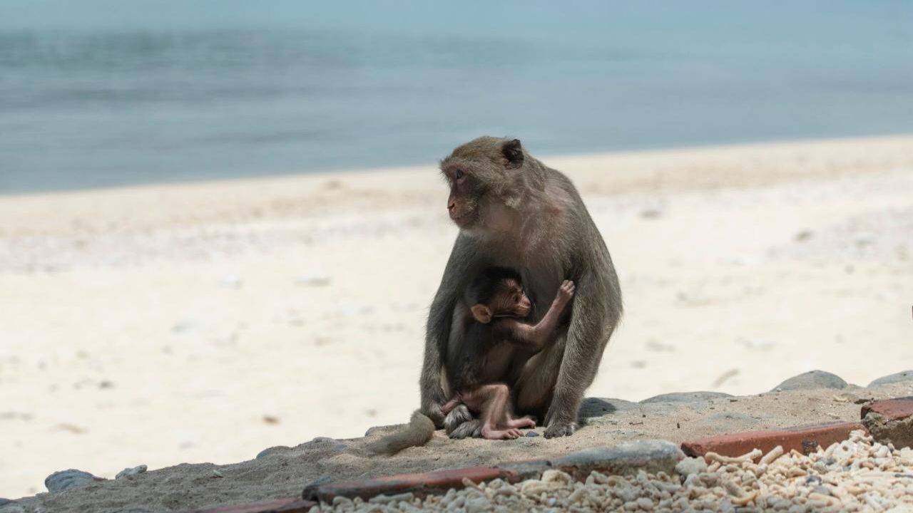 Vé máy bay Cần Thơ Hải Phòng giá rẻ