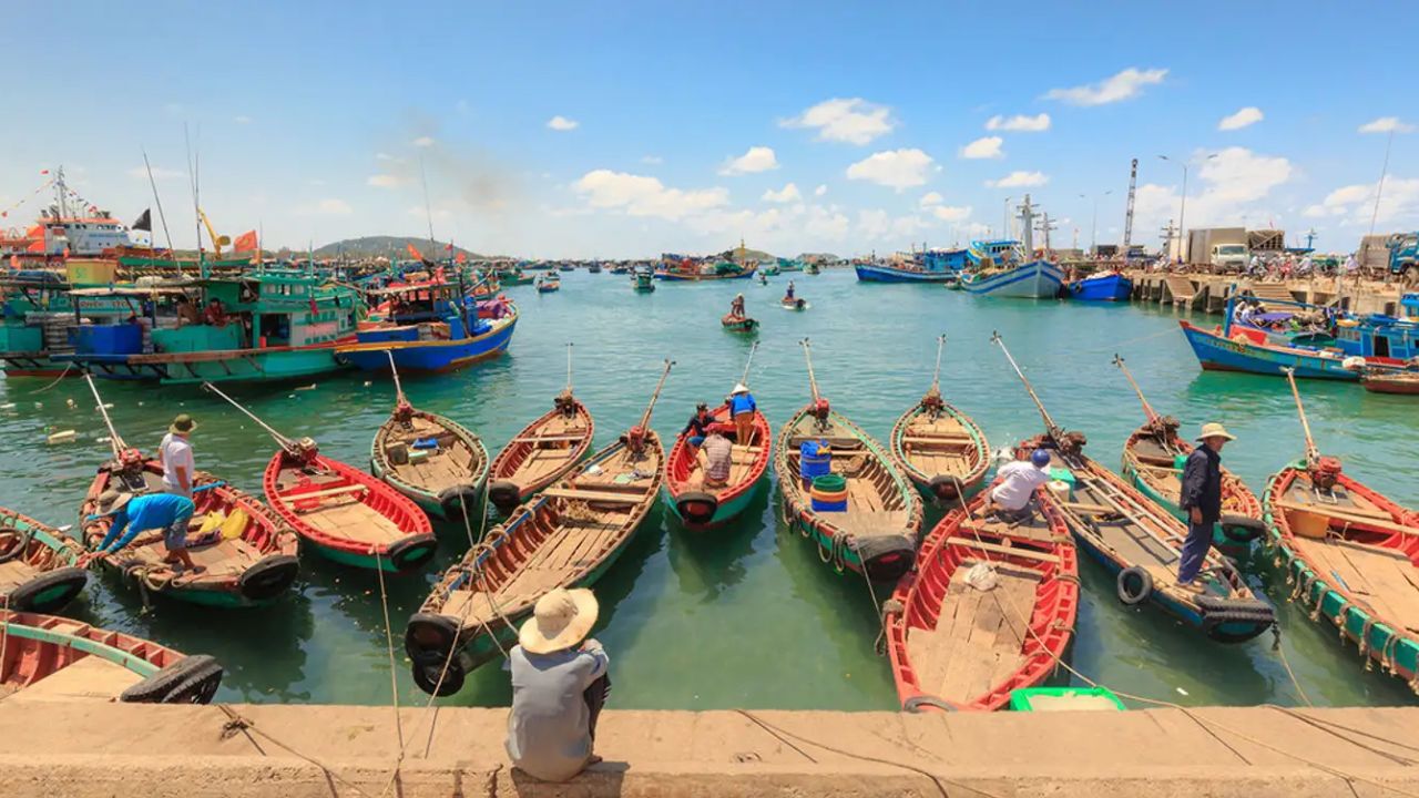 Ghé làng chài Hàm Ninh trải nghiệm làm ngư dân