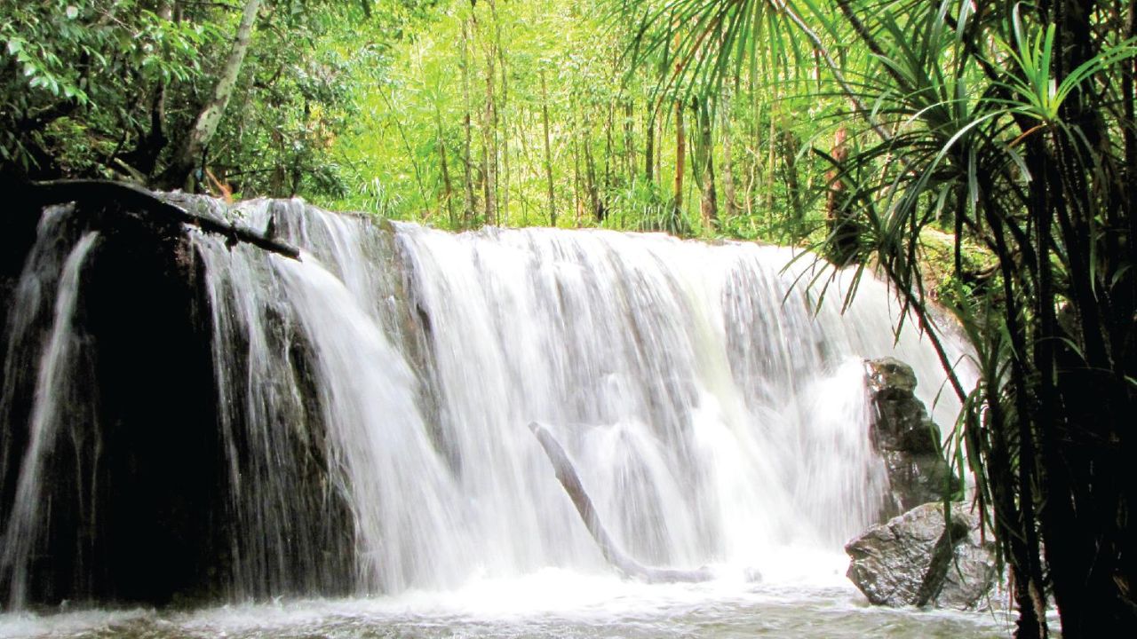 Hệ sinh thái suối Tranh