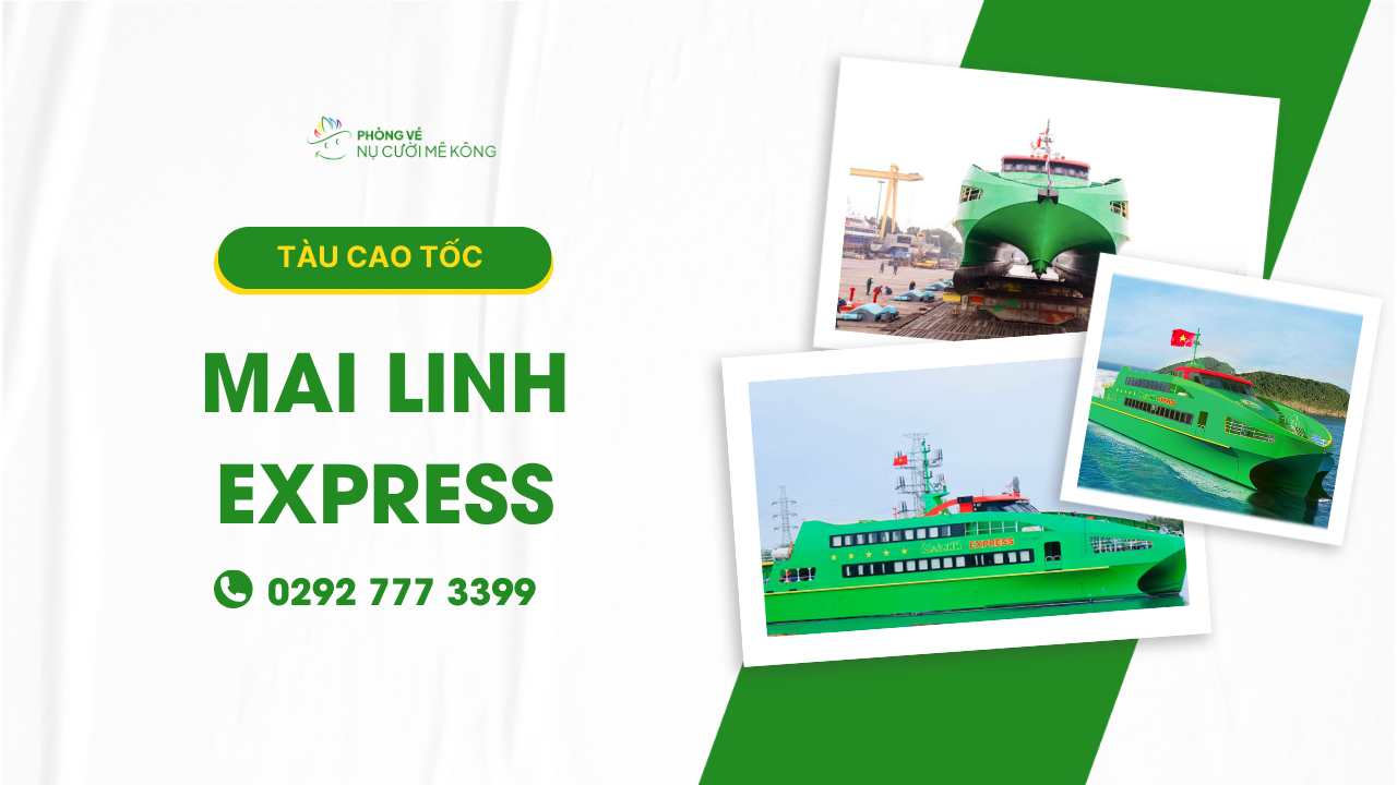 Tàu cao tốc Mai Linh Express ảnh bìa