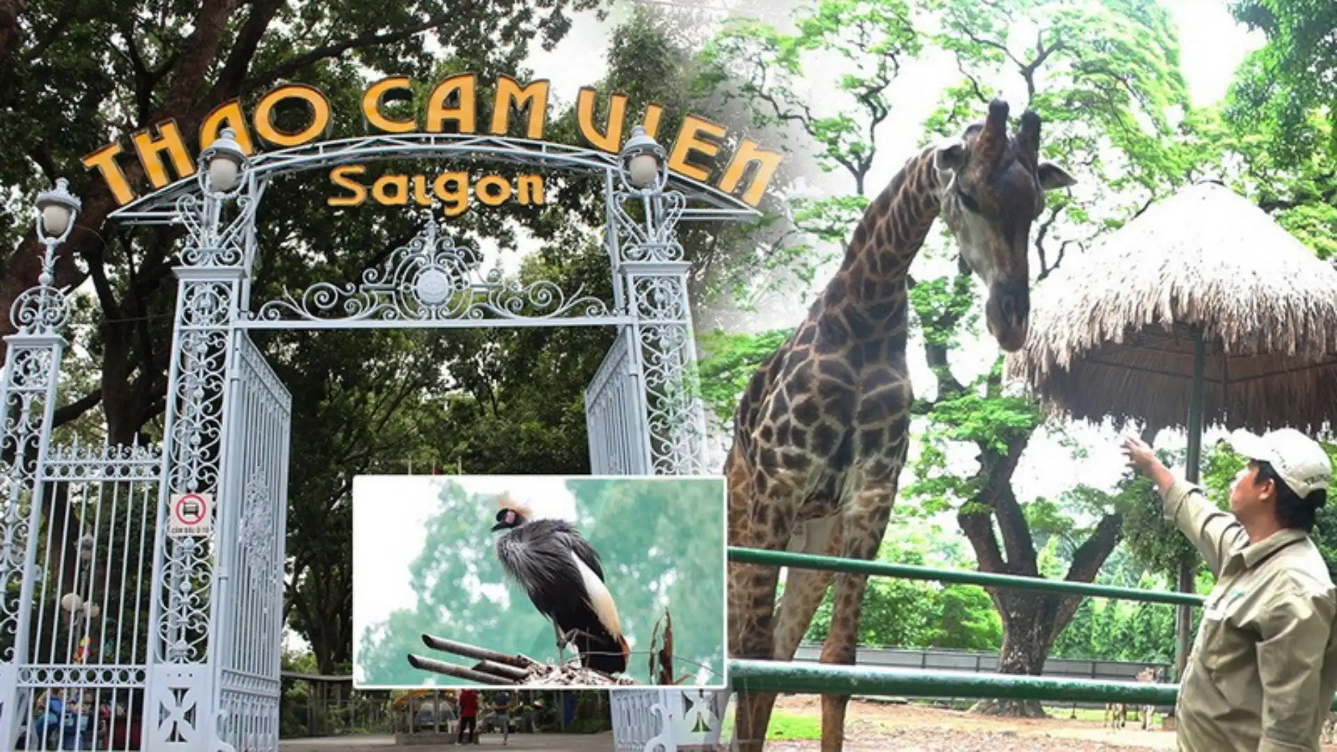 Thảo Cầm Viên khi đặt vé máy bay Hà Nội Sài Gòn