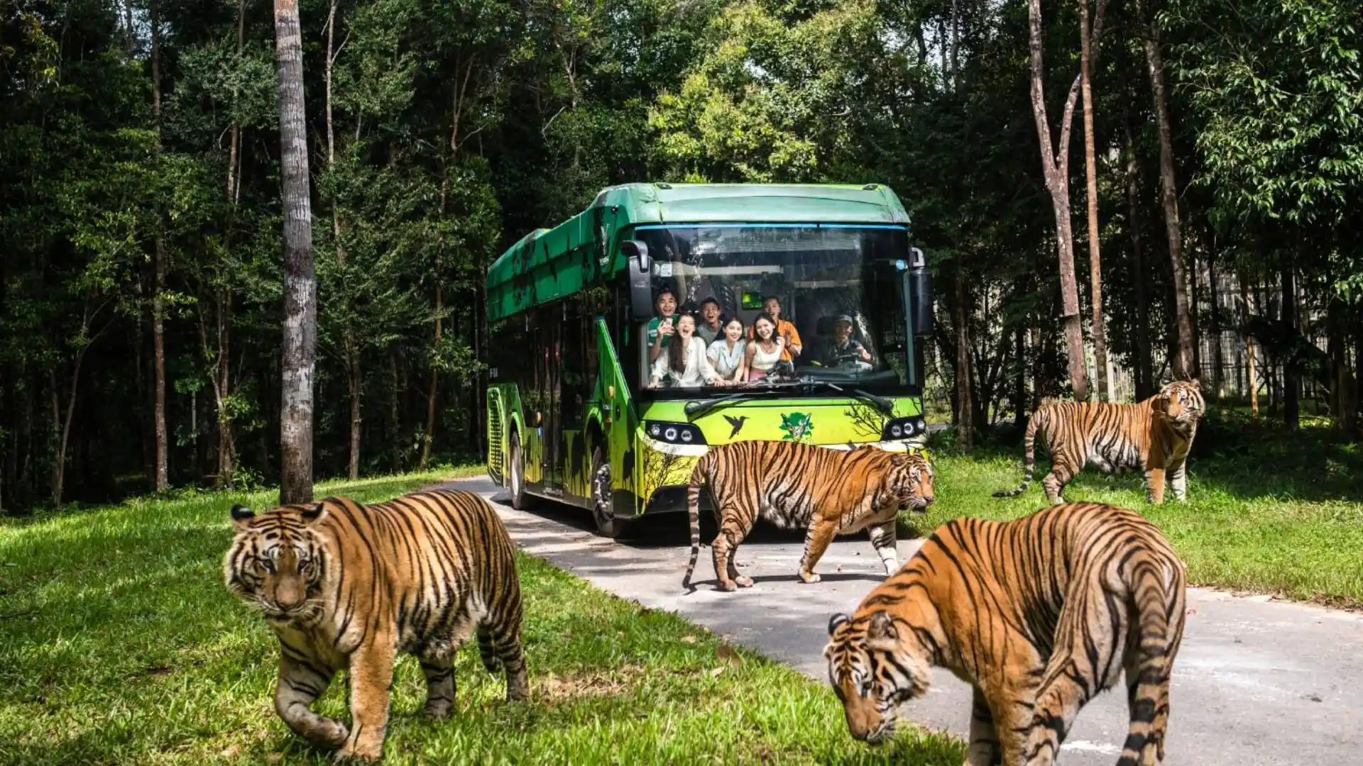 Vinpearl Safari khi có vé máy bay Cần Thơ Phú Quốc